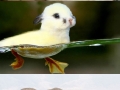 Glorious photoshop