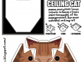Your very own ceiling cat