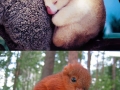 Cuteness overload!