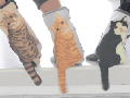 Cat gloves