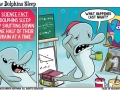 How dolphins sleep