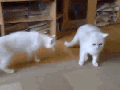 Security! Security!
