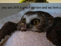 Message from the owls