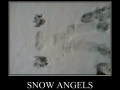 Snow Angels