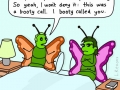 Casual insects