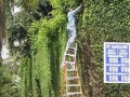 Ladder Stacker
