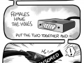 Cords have gender?!
