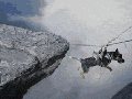 Wingsuit dog