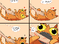 Why you do this, cat?