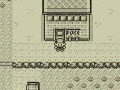 20 years of pokemon