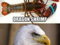 Accurate animal names