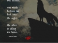Just wolf things