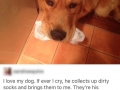 Man's best friend
