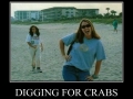 Digging for crabs