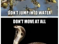 Survival tips