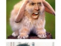 Nicholas Cage
