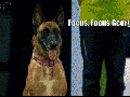Focus focus