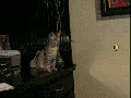 Mario you motherf**ker!
