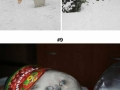 Cats & their endless curiosity