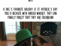 Amazing animal facts