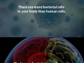 Mind-blowing facts