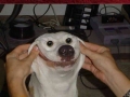Smile and smile, don't cry