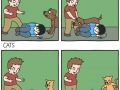 Backstabbing kitty