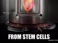 Beating hearts from stem cells