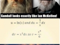 Lord of the Rings memes are the best