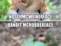 Hilariously accurate animal names