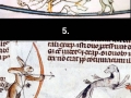 Medieval rabbits