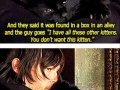Daryl and his cat