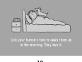 How to be a dog