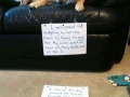 Pet shaming
