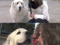 Finally one politician I can trust