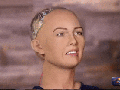 Sophia the humanoid robot