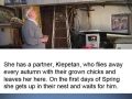 Heartwarming love story from Croatia