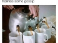Gossip