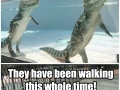 Mind blown