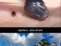 Just Australian nope things