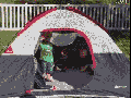 Kids falling