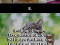 A cats purr may help you live longer