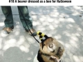 Totally Canadian things that Canadians feel sorry for