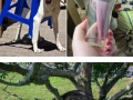 Hilarious dog faces