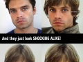 Sebastian Stan looks like a young Luke Skywalker