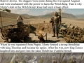 Meriadoc Brandybuck facts