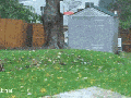 Storm uncovers national treasure