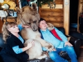 Russian couple adopted an orphaned bear 23 years ago
