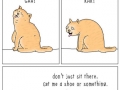 What animals would say if they could talk