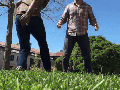 The Guyroscope